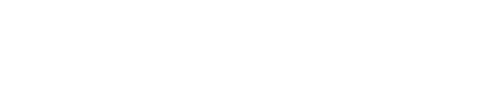 Bwesterveen Performance logo